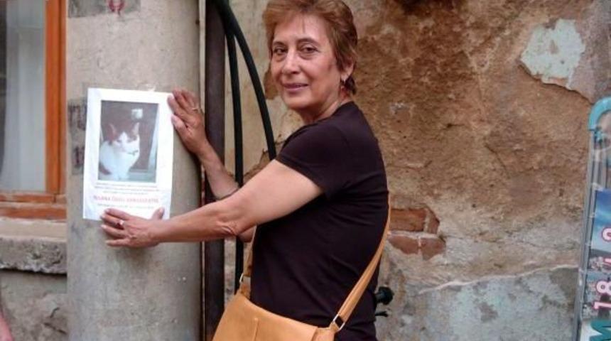 Kedileri I&ccedil;in Kardeşi Ve Yeğeninden Şikayet&ccedil;i Oldu