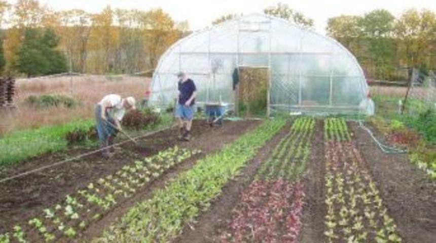 Ordu’da Organik Tarım Arttı