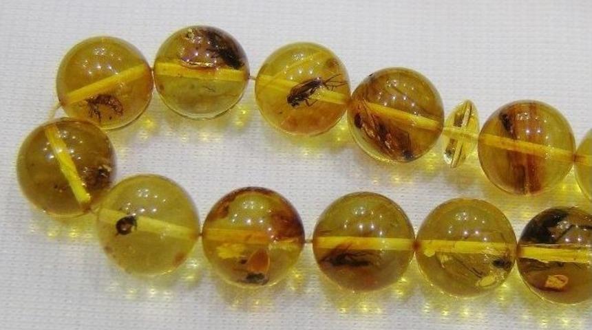 Bu Tespihe Paha Bi&ccedil;ilemiyor