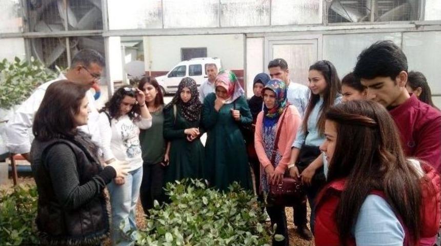 Dicle &Uuml;niversitesi Ziraat Fak&uuml;ltesi &Ouml;ğrencilerinden Teknik Gezi