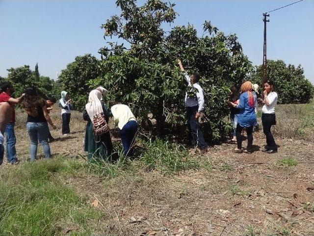 Dicle Üniversitesi Ziraat Fakültesi Öğrencilerinden Teknik Gezi