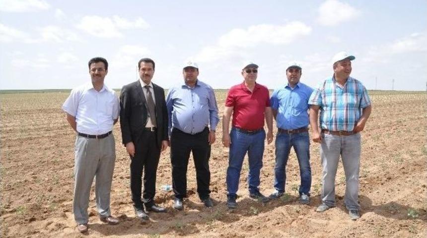 Aksaray&rsquo;da Sebze Ve Meyve &Uuml;retimi Artıyor