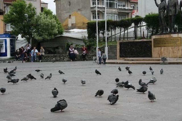 Alanda Kimseyi Bulamayınca Mitingi İptal Ettiler