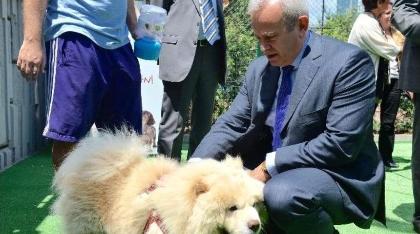 Doğaseverler Sıracevizliler Parkı&rsquo;nda Buluştu