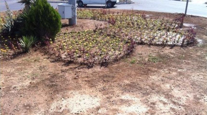 Edremit &Ccedil;i&ccedil;ek Bah&ccedil;esine D&ouml;n&uuml;yor