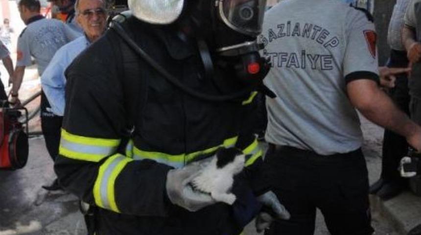 Yangın &Ccedil;ıkan Garajda Mahsur Kalan Kediyi Itfaiye Kurtardı