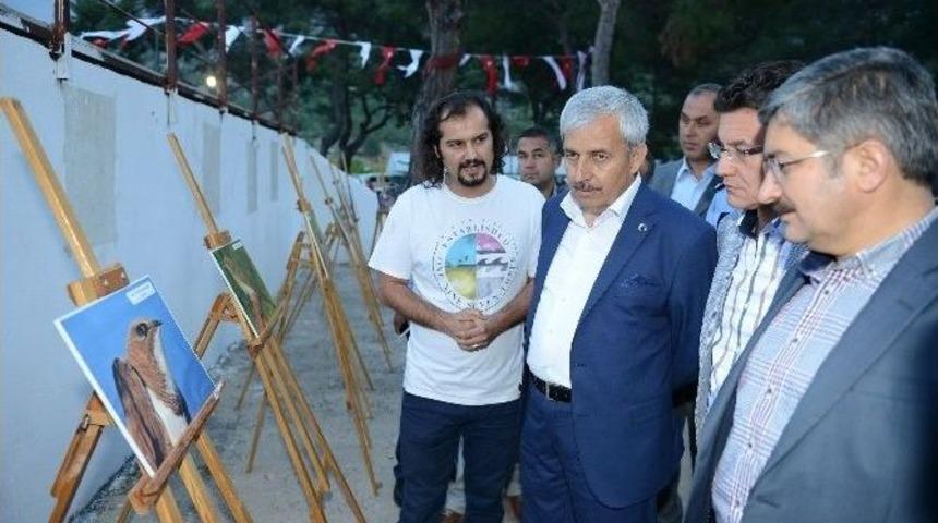 Adrasan&rsquo;da Akkarınlı Ebabil Şenliği Başladı
