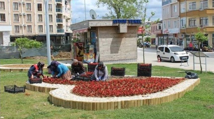 Akçakoca Çiçeklerle Süsleniyor