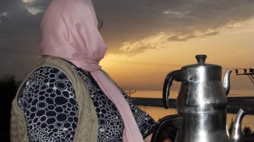 Uçakların Kalkış Ve Inişini Ilgiyle Seyrediyorlar