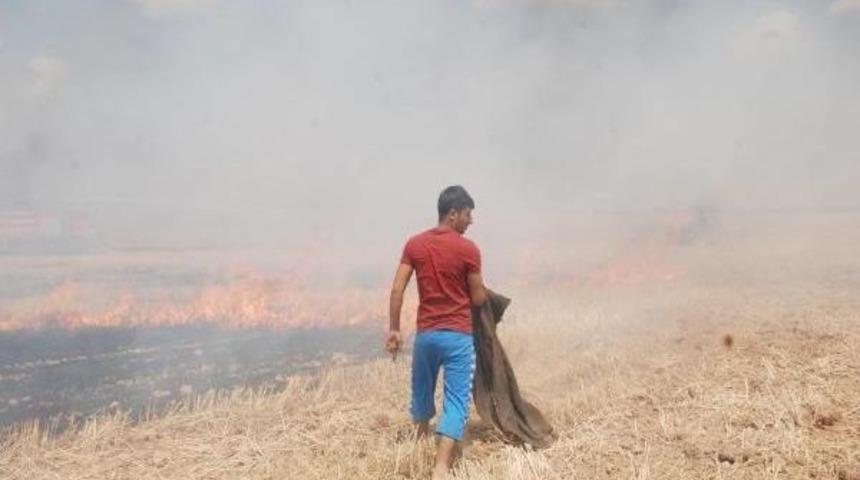 Ak&ccedil;akale'de 92 D&ouml;n&uuml;ml&uuml;k Arpa Tarlası Yandı