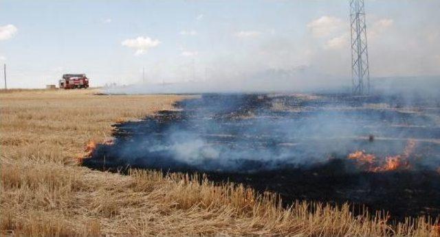 Akçakale'de 92 Dönümlük Arpa Tarlası Yandı