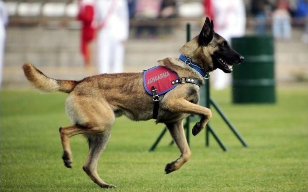 Jakem Kapılarını İha&rsquo;ya A&ccedil;tı