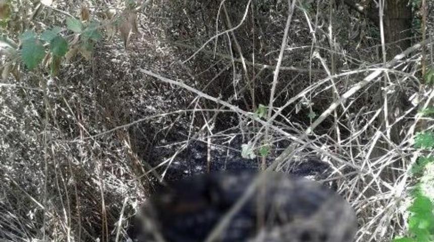 25 Kuruş İ&ccedil;in Arkadaşını Boğarak &Ouml;ld&uuml;rd&uuml; 3 G&uuml;n Sonra Yaktı