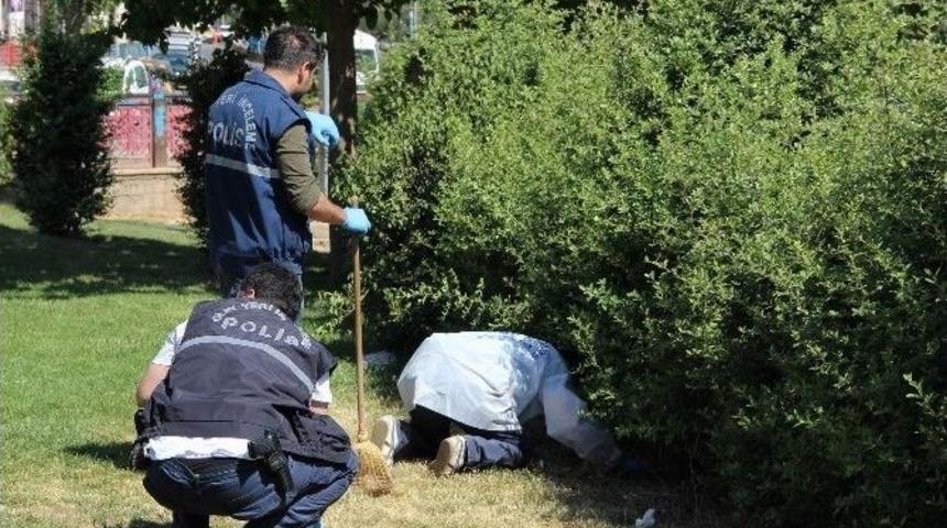 Ailesiyle Helalleştikten Sonra İntihar Etti