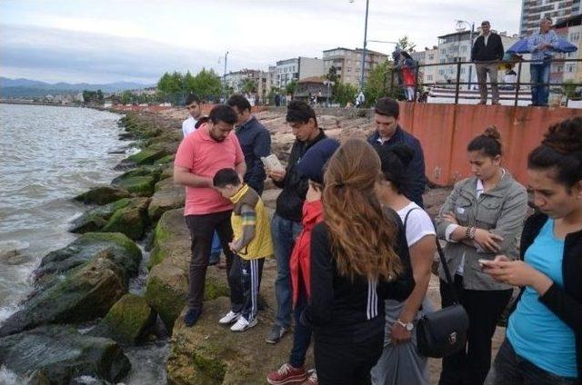 Fatsa’da Ölü Yunus Karaya Vurdu