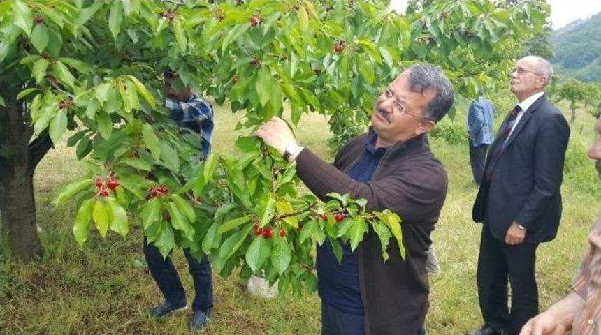 Yılmaz Hocaoğlu: "d&ouml;rtl&uuml; İttifakı 7 Haziran&rsquo;da Milletimiz Sandıkta Yıkacaktır"