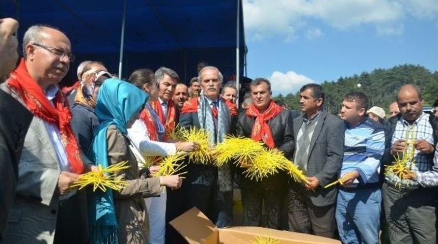 Dağ Y&ouml;resi İpek B&ouml;ceği İle Kalkınıyor