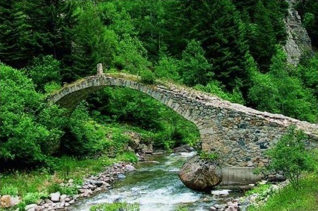 Karadeniz Yazın Bir Başka Güzel