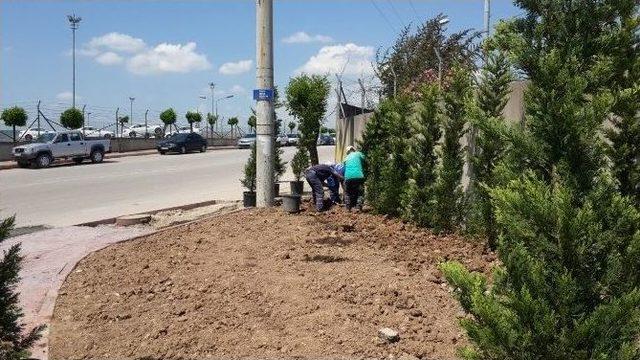 Kartepe Yolları Çiçekleniyor