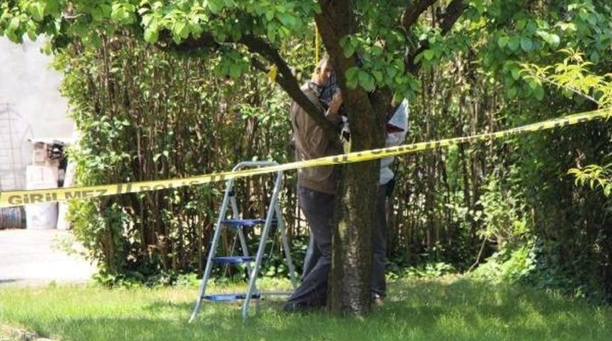 Evinin Bah&ccedil;esindeki Ağaca Kendini Astı