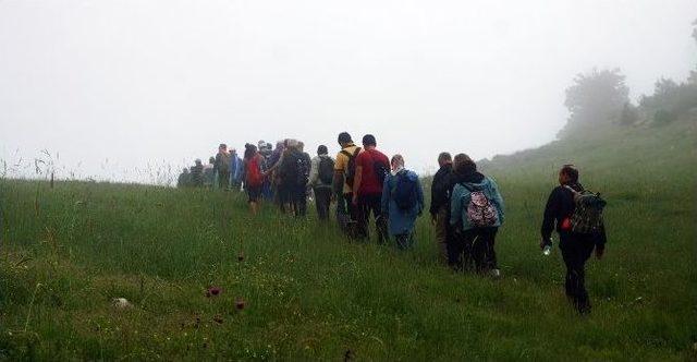 Yaylalarda Yürüdüler 3