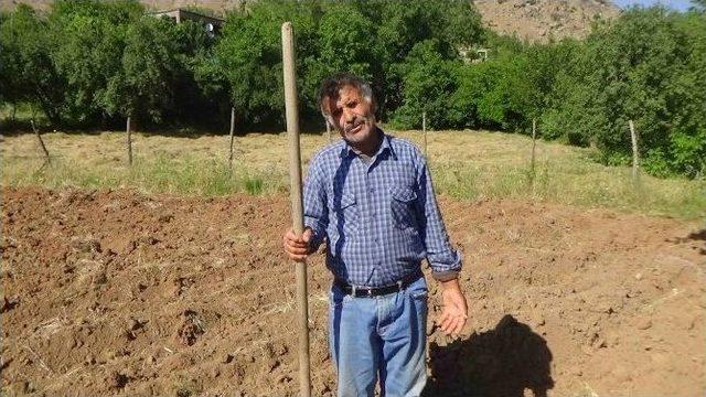 61 Yaşındaki Dedenin Dramı Y&uuml;rek Dağlıyor 1