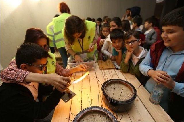 Cam Festivali Büyüledi 1