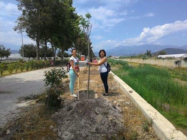 Kumluca Myo Öğrencileri, Yürüyüş Yolunu Çiçeklendirdi