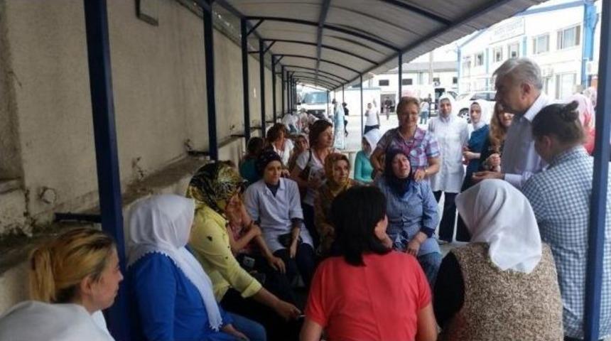 Teber Gittiği Her Yerde İlgi G&ouml;r&uuml;yor