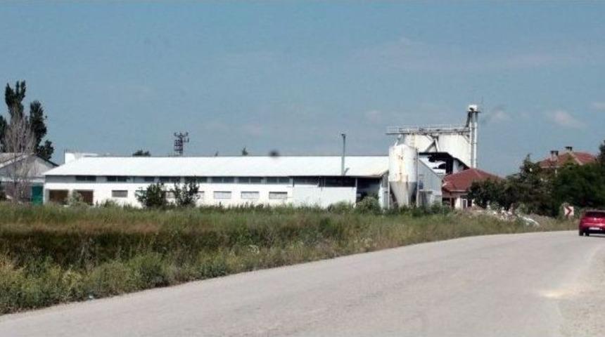 Kanatlı Kabus Bursa&rsquo;ya Sı&ccedil;radı, On Binlerce Tavuk İtlaf Edildi...(&ouml;zel Haber)
