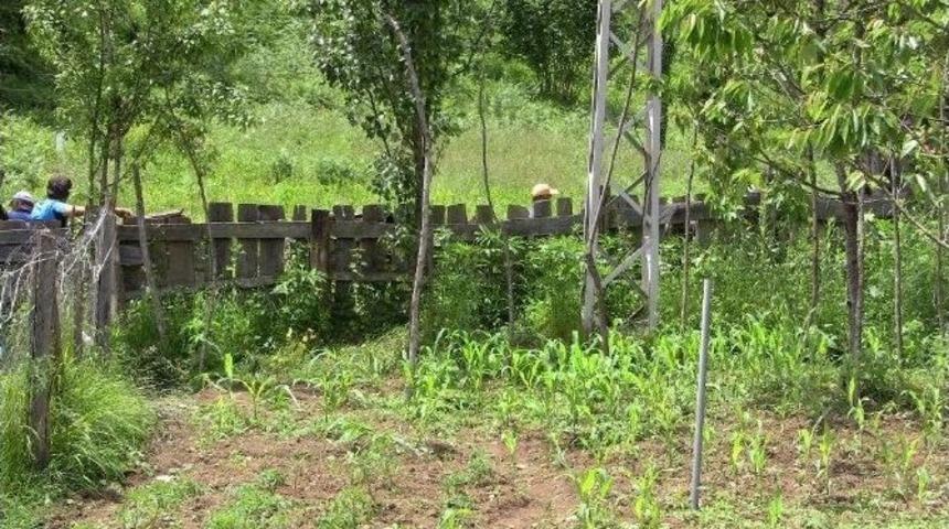 Kardeş Kavgası Kanlı Bitti