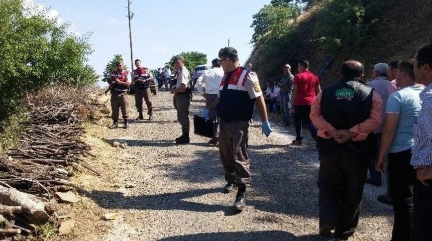 &Ouml;fkeli Koca Dehşet Sa&ccedil;tı