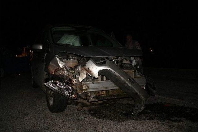 Manisa&rsquo;da Koyun S&uuml;r&uuml;s&uuml;ne &Ccedil;arpan Otomobil 18 Koyunu Telef Etti 2