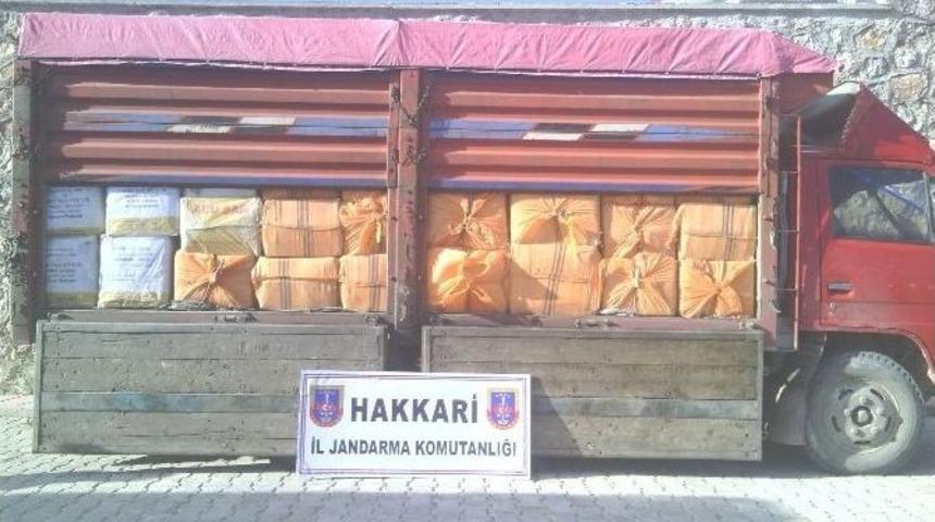 Y&uuml;ksekova&rsquo;da 4 Ton 650 Kilo Ka&ccedil;ak &Ccedil;ay Ele Ge&ccedil;irildi