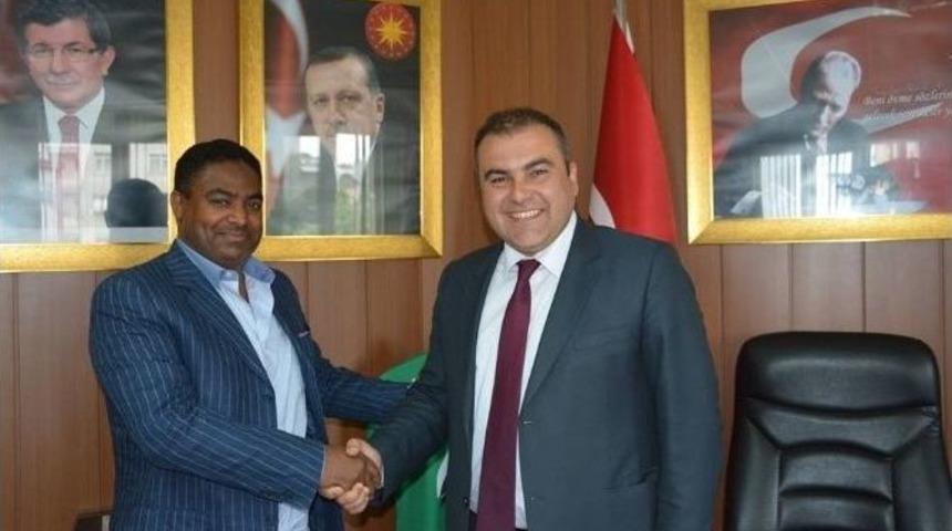 Araplar G&ouml;z&uuml;n&uuml; G&ouml;rele&rsquo;ye Dikti