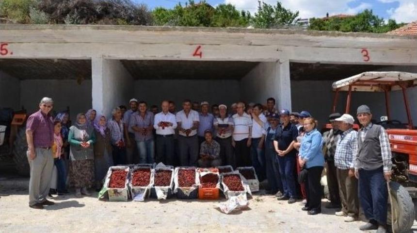 Selendili Kiraz &Uuml;reticileri Zor Durumda