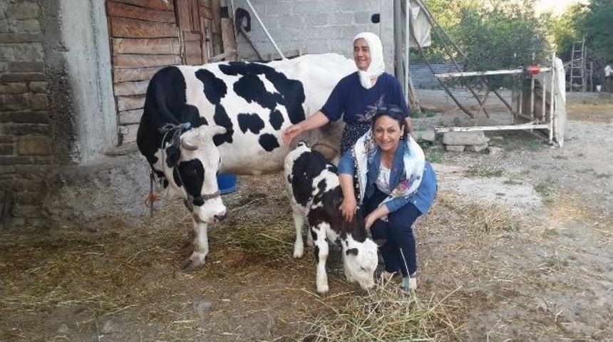 Şevkin: &ldquo;&ccedil;ift&ccedil;i, &Uuml;r&uuml;n&uuml;n&uuml; Ger&ccedil;ek Fiyatına Satamıyor&rdquo;