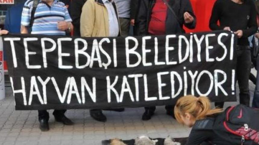 K&ouml;pek Leşleriyle Belediye Protestosu