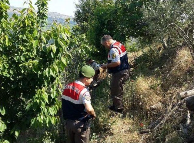 Eşini Yaraladı, Birlikte Kaçtığı Adamın Babasını Öldürdü