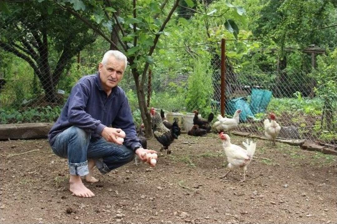 Demir &Ccedil;elik Emeklisi Bah&ccedil;esinde Onlarca &Ccedil;eşit &Uuml;r&uuml;n Yetiştiriyor