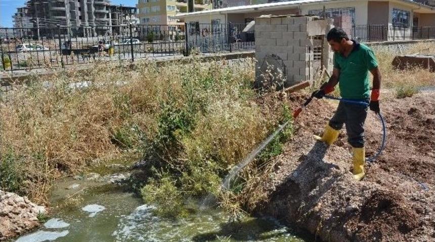 Sivrisinek Ve Haşereyle M&uuml;cadele &Ccedil;alışmaları Devam Ediyor