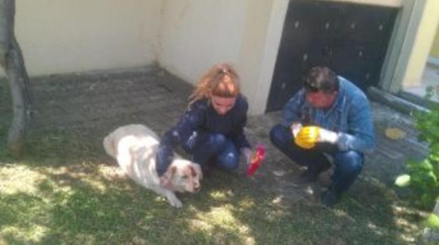 Zabıta Her İhbarı Değerlendiriyor