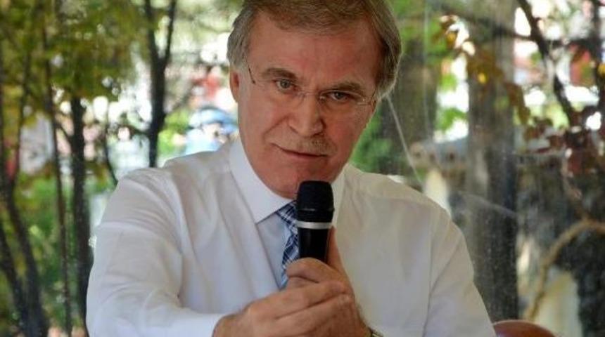 Ak Partili Şahin: Yok Ya, Kedi Yok Burada