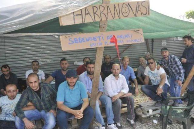 Ford Otosan, Çalışanlarla Görüşmelerin Sonlandırıldığını Duyurdu (2)