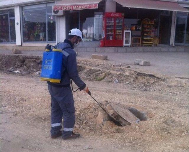 Silvan’da Haşerelere Karşı İlaçlama Çalışmaları Başladı