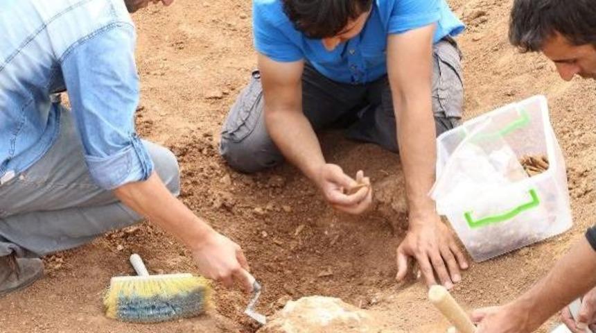 Mardin'de Tun&ccedil; Devri'ne Ait Mezar Bulundu