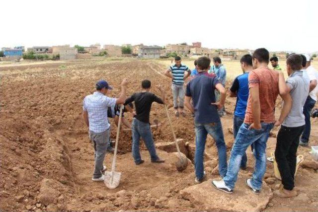 Mardin'de Tunç Devri'ne Ait Mezar Bulundu