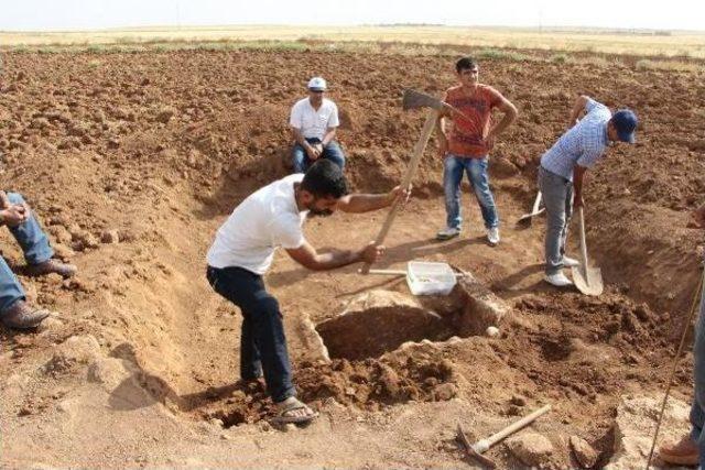 Mardin'de Tunç Devri'ne Ait Mezar Bulundu