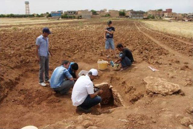 Mardin'de Tunç Devri'ne Ait Mezar Bulundu