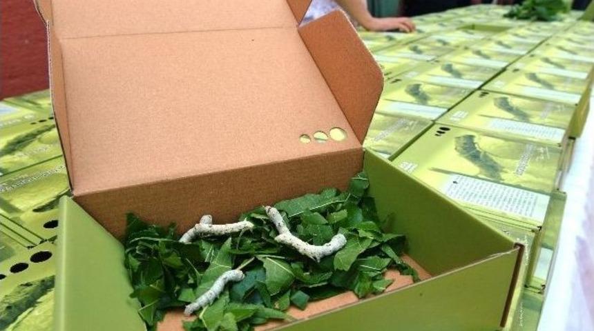 Bursa İpeğini &Ccedil;ocuklar Canlandıracak